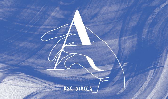 Logo Ascidiacea 2